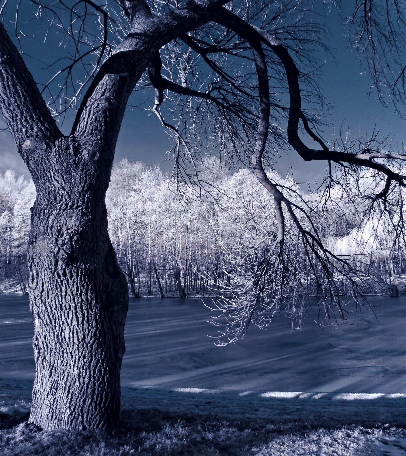 infrared,ик-фото,инфракрасное фото,инфракрасная фотография,пейзаж,минск,беларусь,зима,инфракрасная съемка, Sixten ( Сергей )