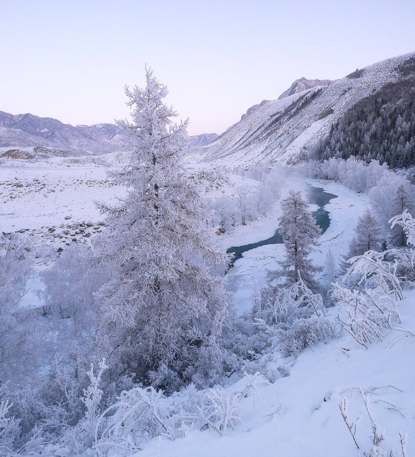 , Лещёнок Александр