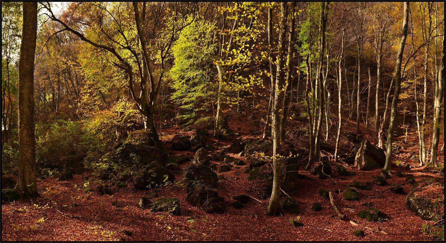 , Владимир Метцгер