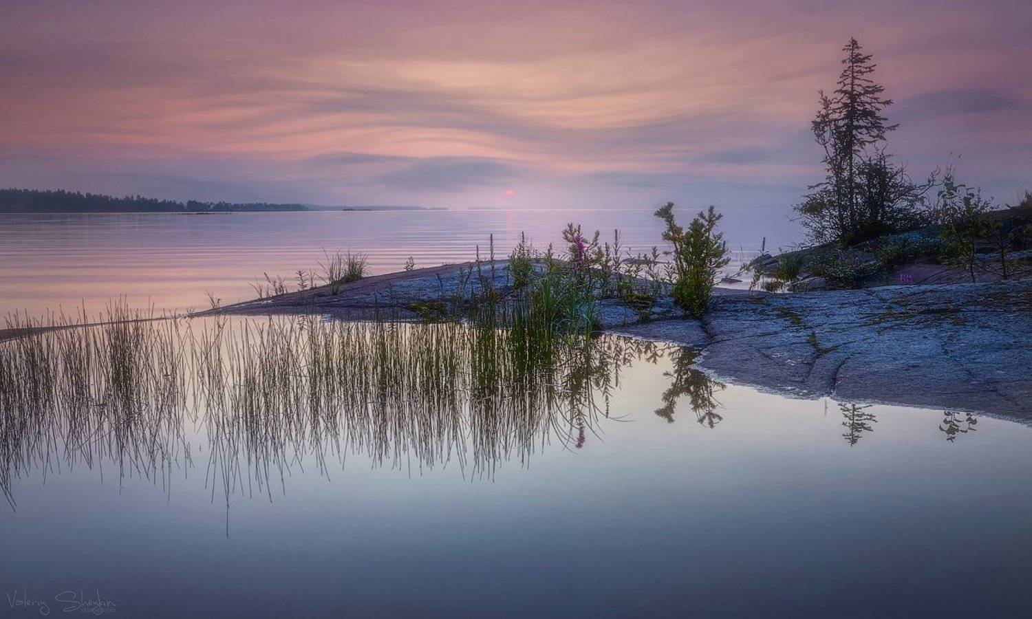 , Валерий Шейкин