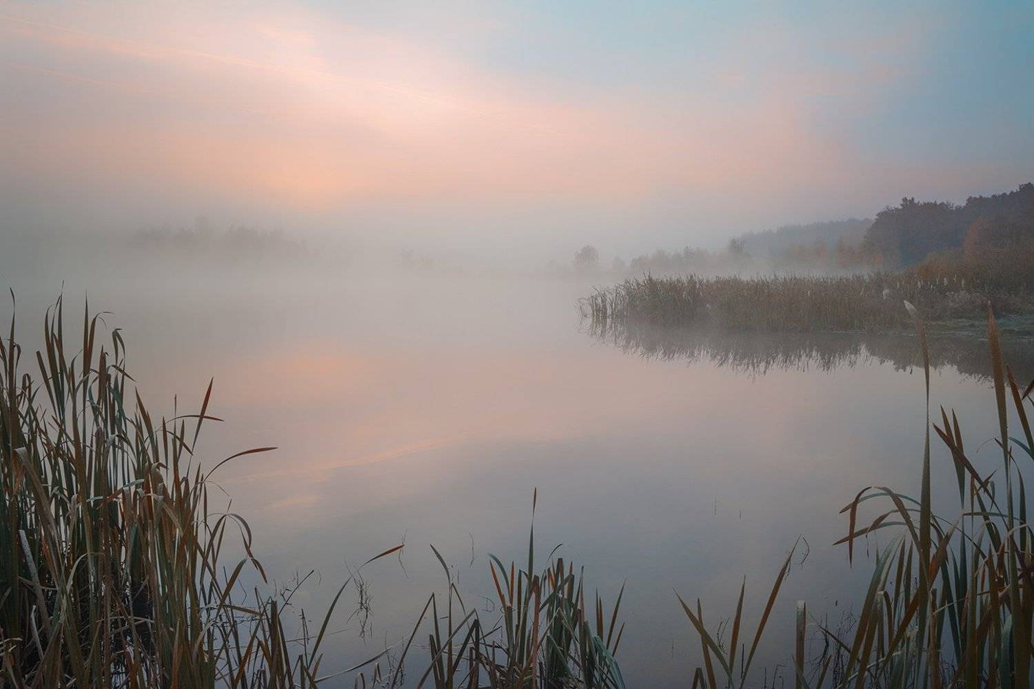 , Анатолий Зверев