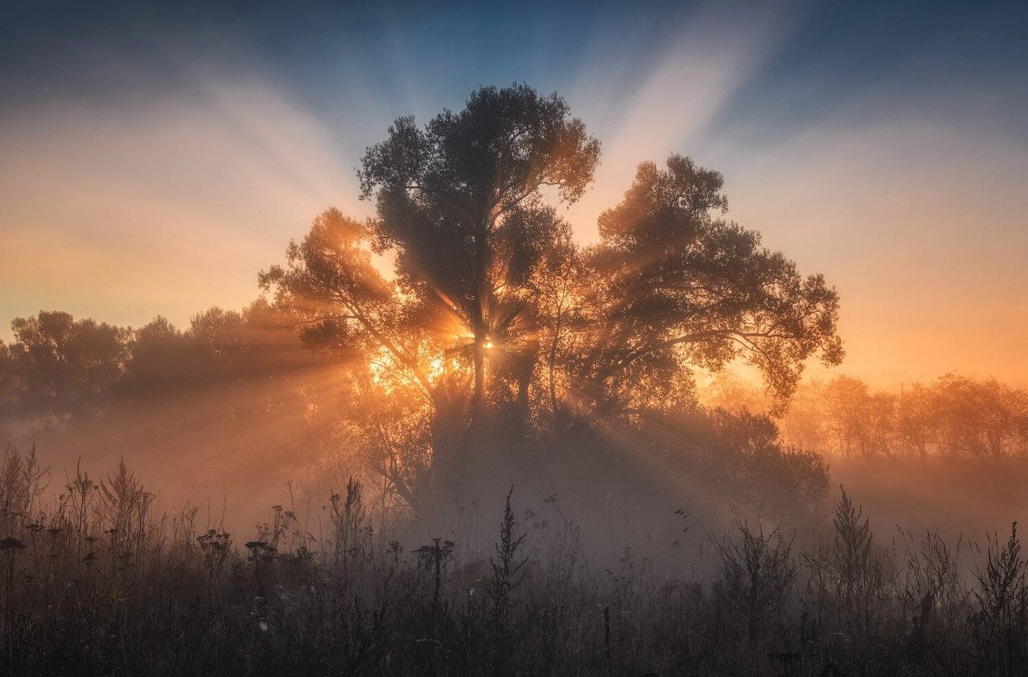 , Виталий Левыкин