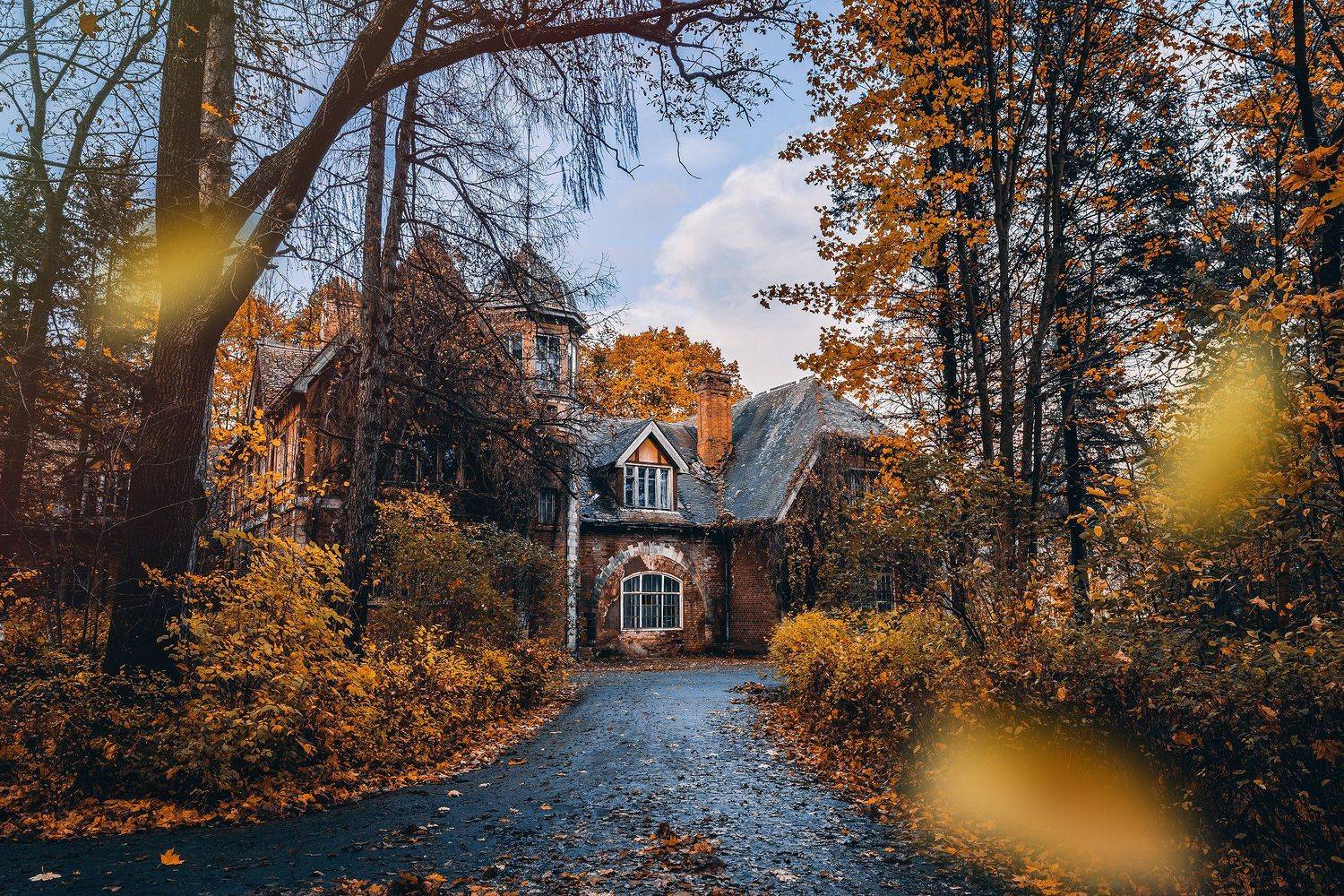 #осень #природа #город #листья #autumn #city, Андрей Михайлов