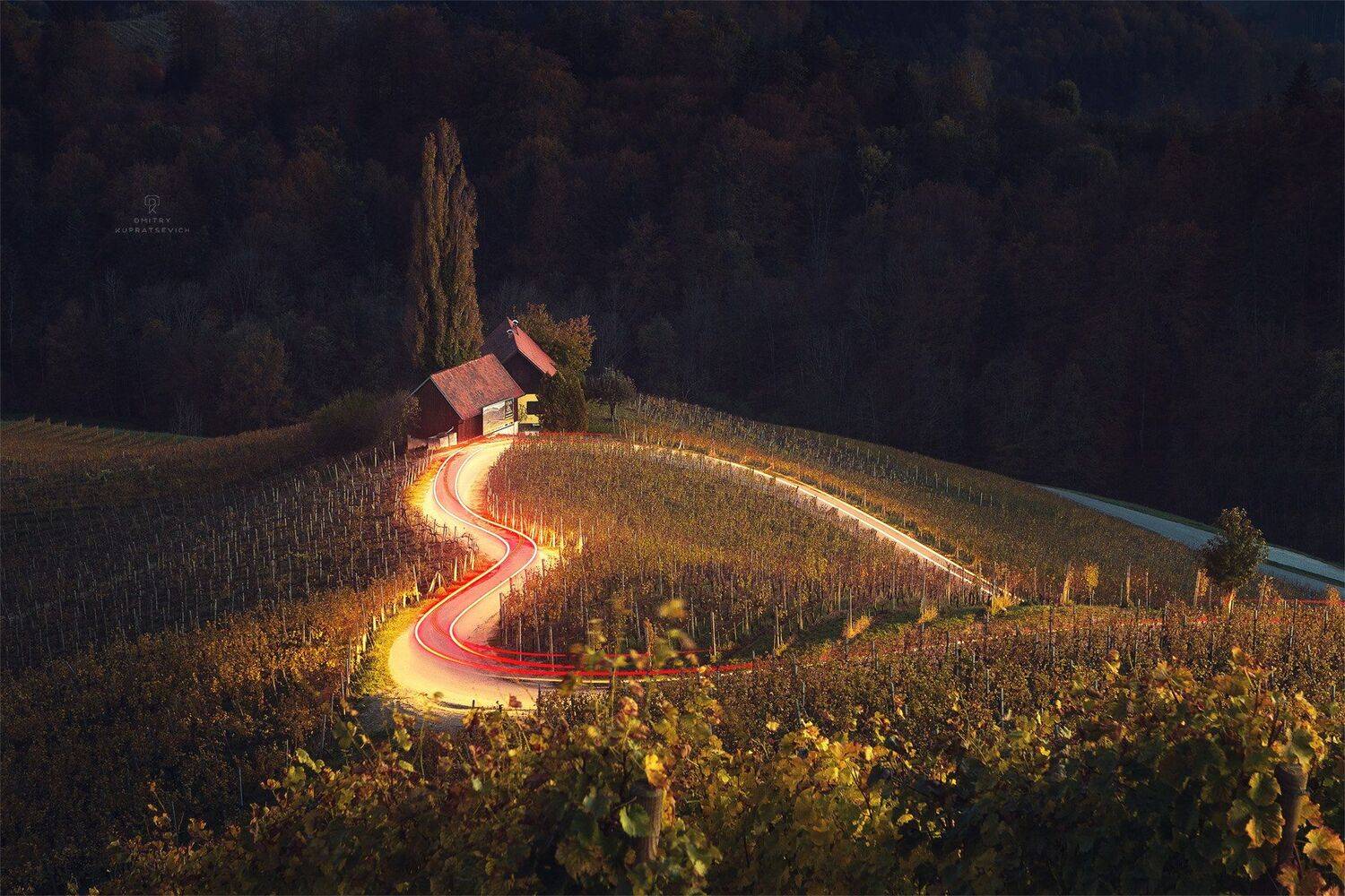 , Дмитрий Купрацевич