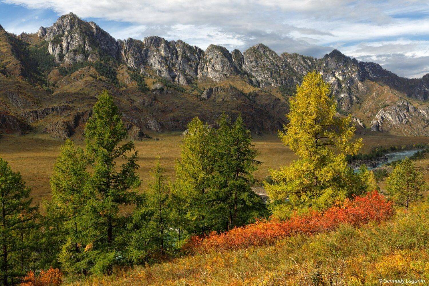 алтай, altai, осень, autumn, горы, mountains,, Геннадий Лагунин