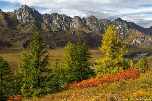 Крадется осень по Алтаю....