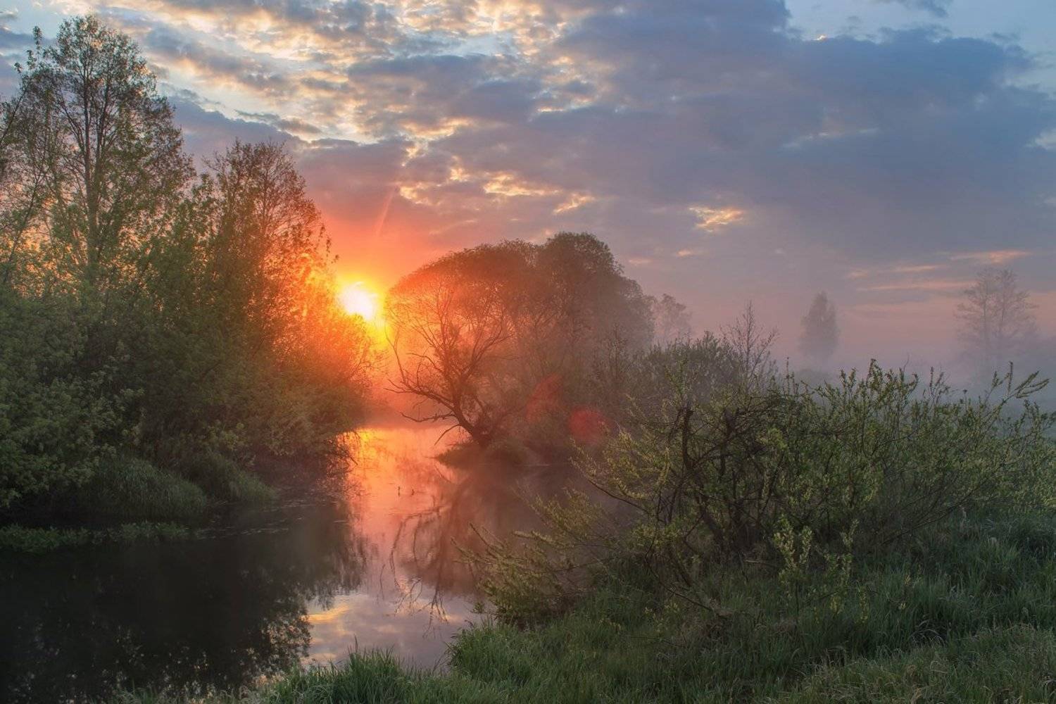 , Игорь Денисов