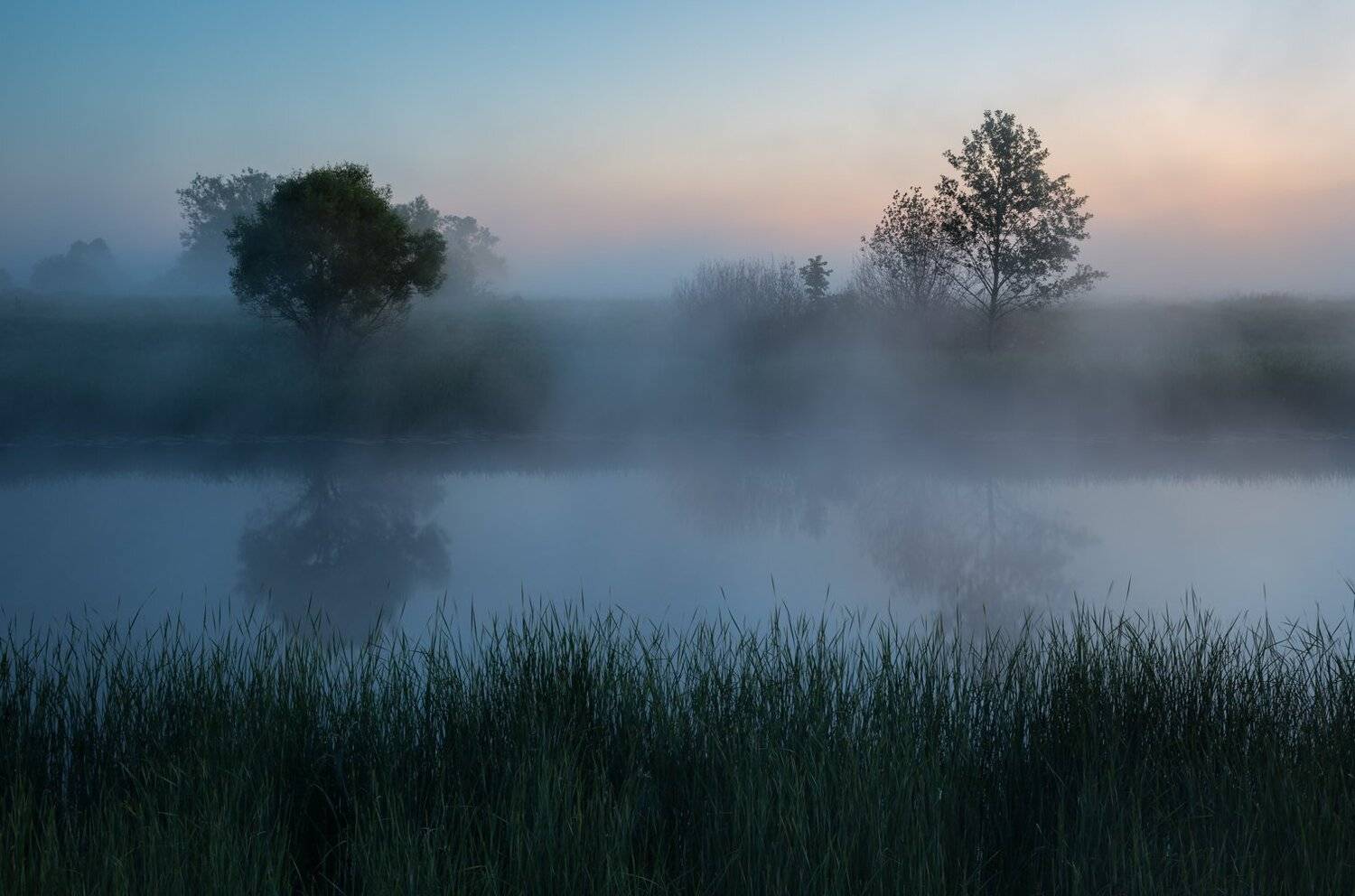, Александр Бредихин