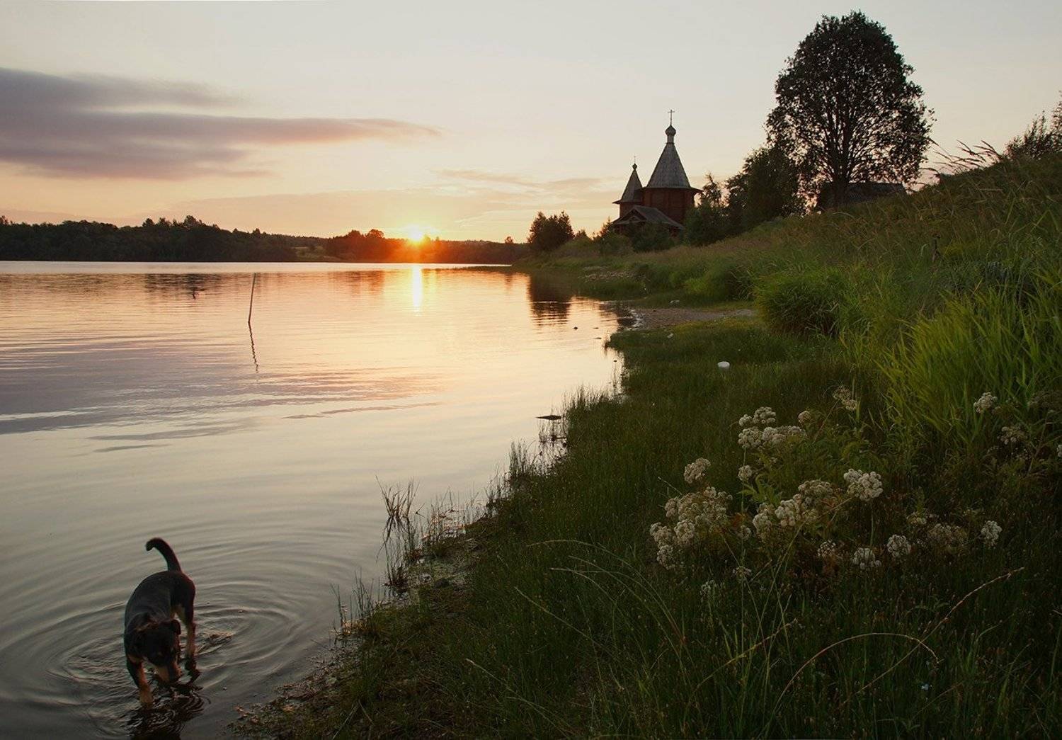 рассвет, деревня, Петр Косых