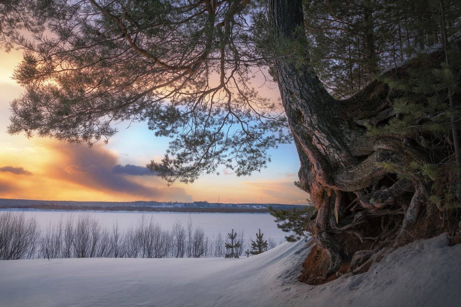 зима, снег, река, закат, вечер, мороз, дерево, сосна, Смольский Евгений