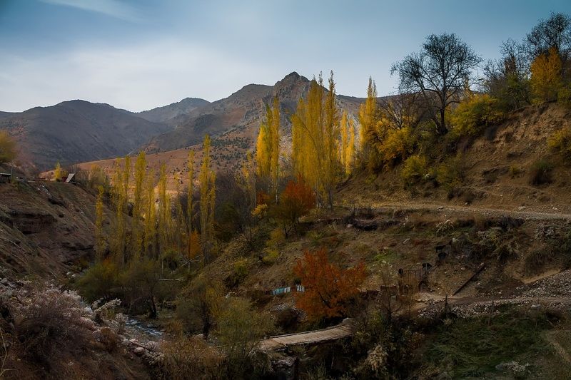 Аксарсайская осень фото превью