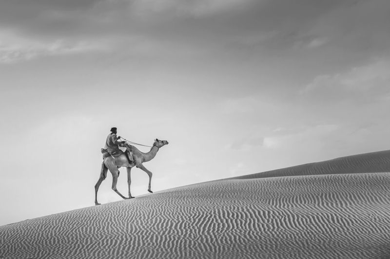 black&white Al-Rahul фото превью