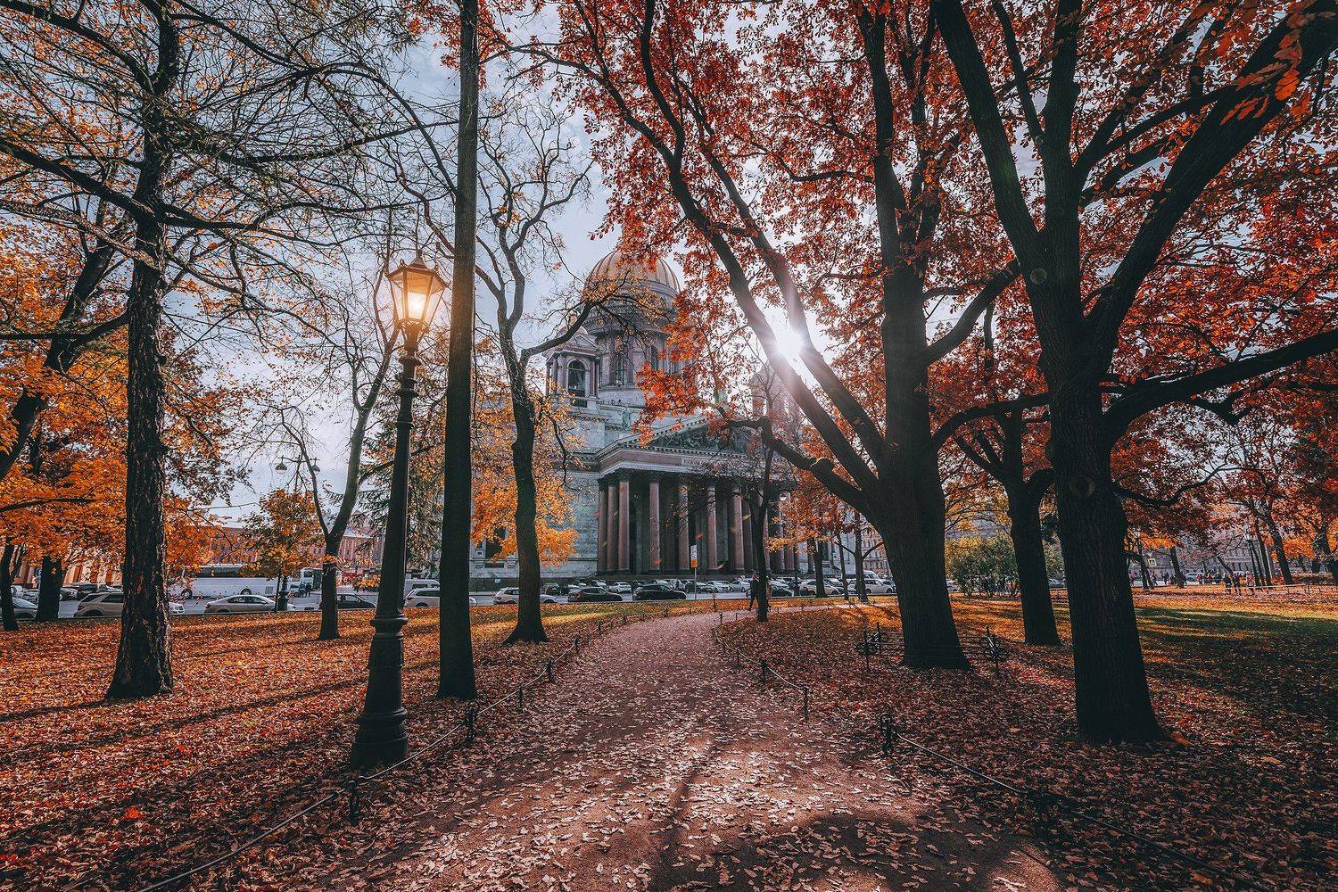 #осень #природа #город #листья #autumn #city, Андрей Михайлов