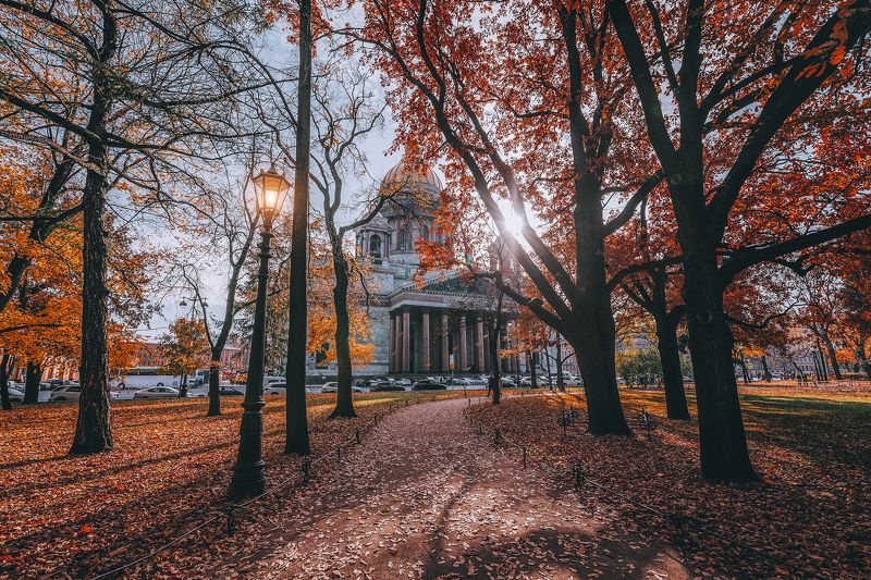 #осень #природа #город #листья #autumn #city Осень фото превью