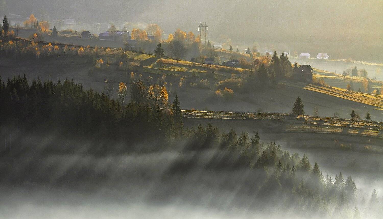 карпаты,	осень, туман, утро, горы, солнце, Михаил Глаголев