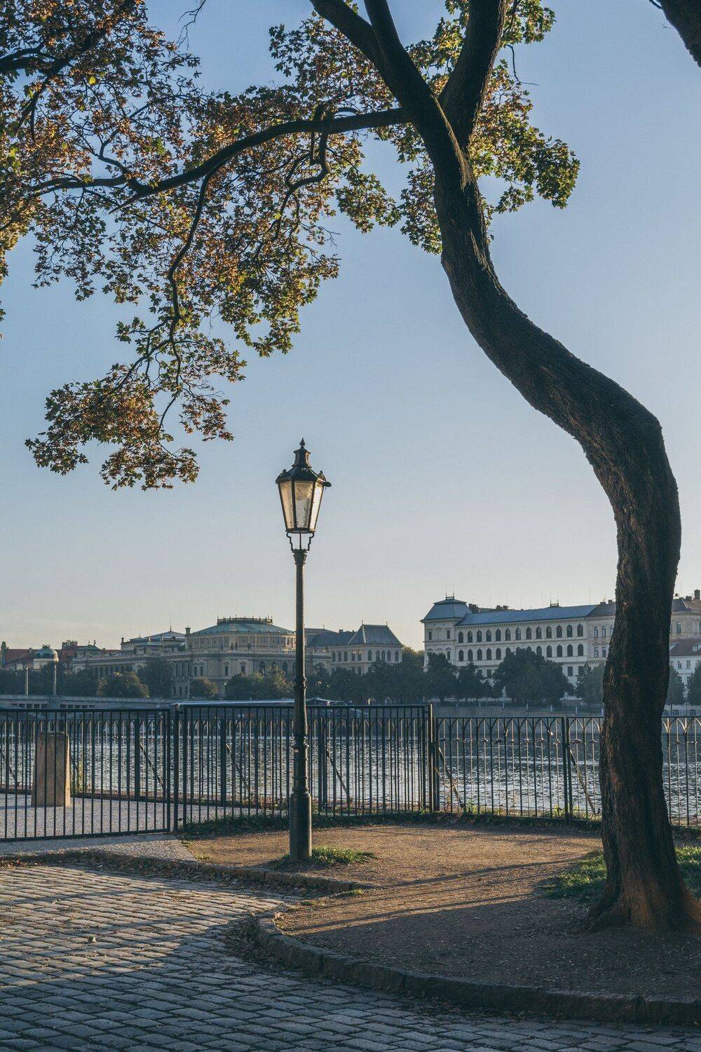 , Юрий Пужалин