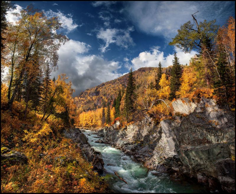 алтай, осень, кумир, река, вода, горы, каньон, золото Река в Золотых Берегах фото превью