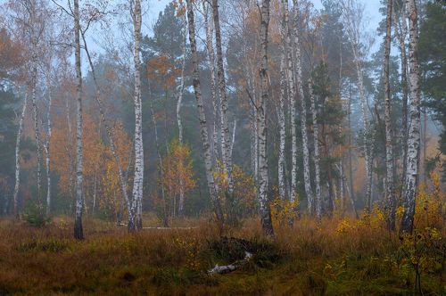 В шалом воздухе сыростью пахнет