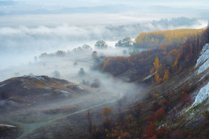 воронеж Дорога в туман фото превью