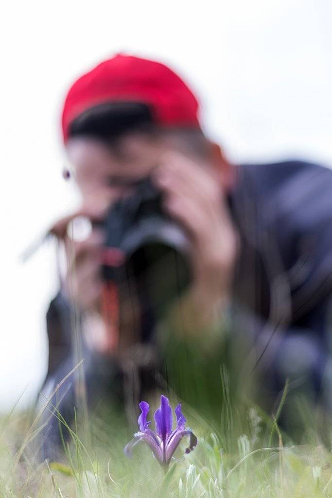 портрет, жанр, фотография, Александр Земляной