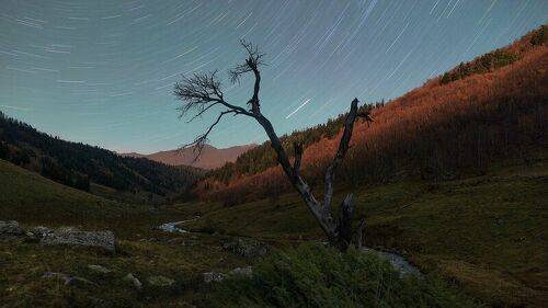The voice of the stars