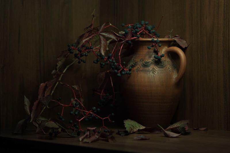 Дикий виноград фото превью