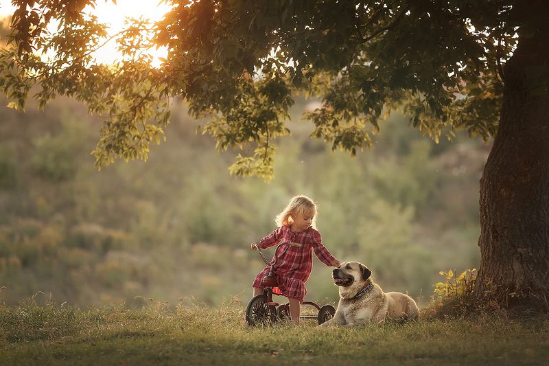 фото превью