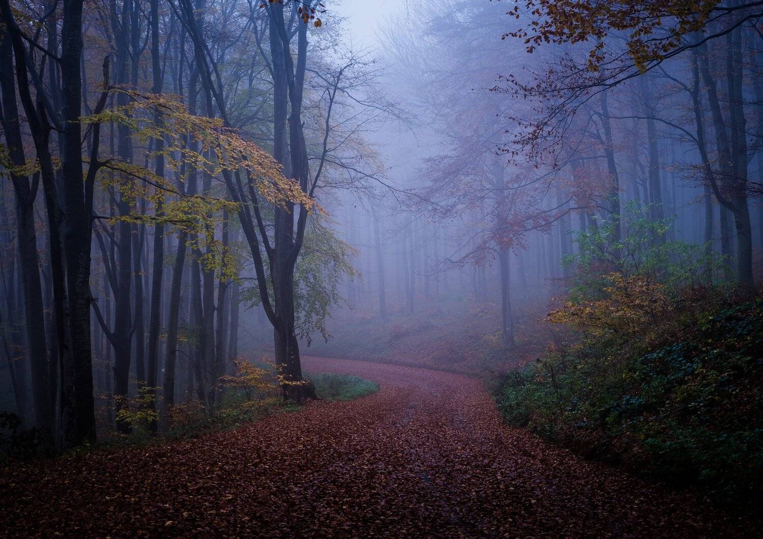 , Илияна Шишкова