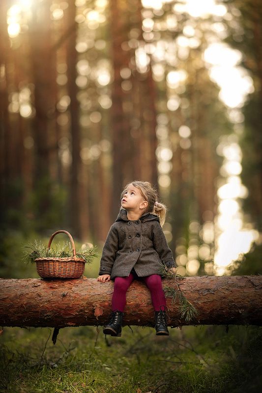 little girl magical forest bokeh trees fallen tree sunlight dranikowski Little girl in a magical forest фото превью