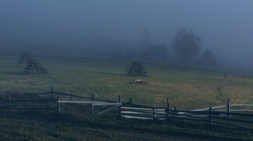 В Карпатах.