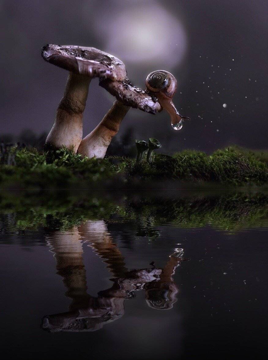 , Людмила Гудина