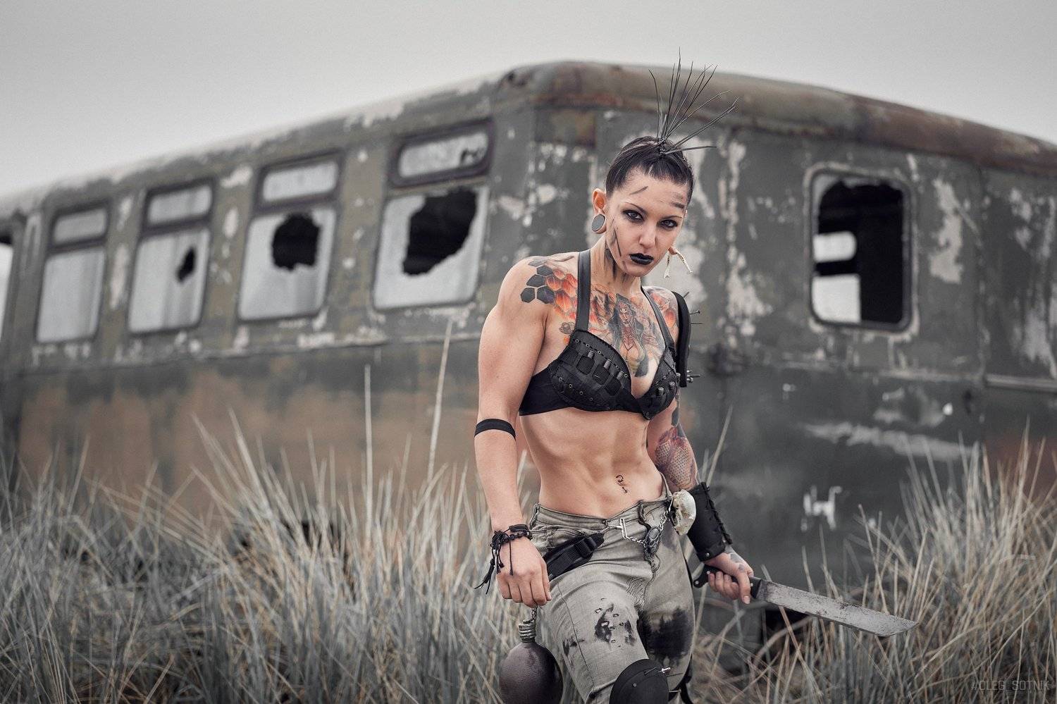 , Олег Сотник