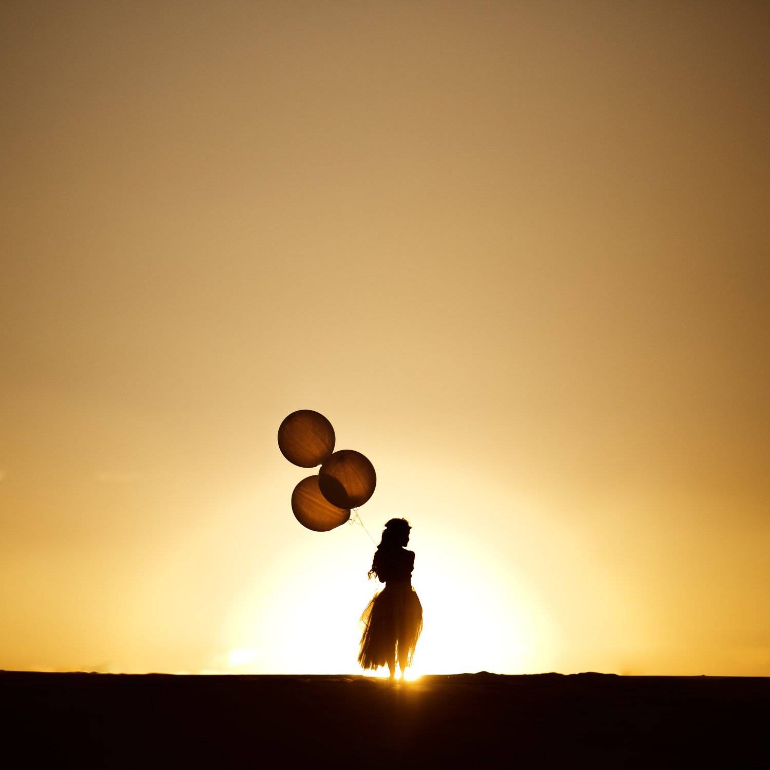 на закате, ребенок с шарикками, шарики, закат, жанр, жанровый портрет, силуэт, силуэт девочки, Щепин Сергей