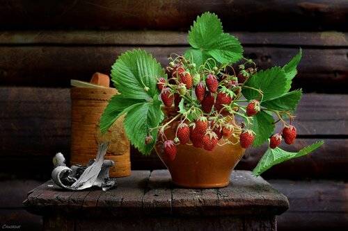 Вариации с клубникой