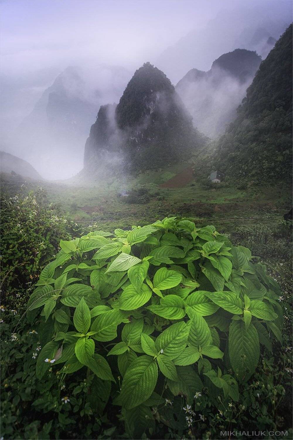 , Михалюк Сергей *