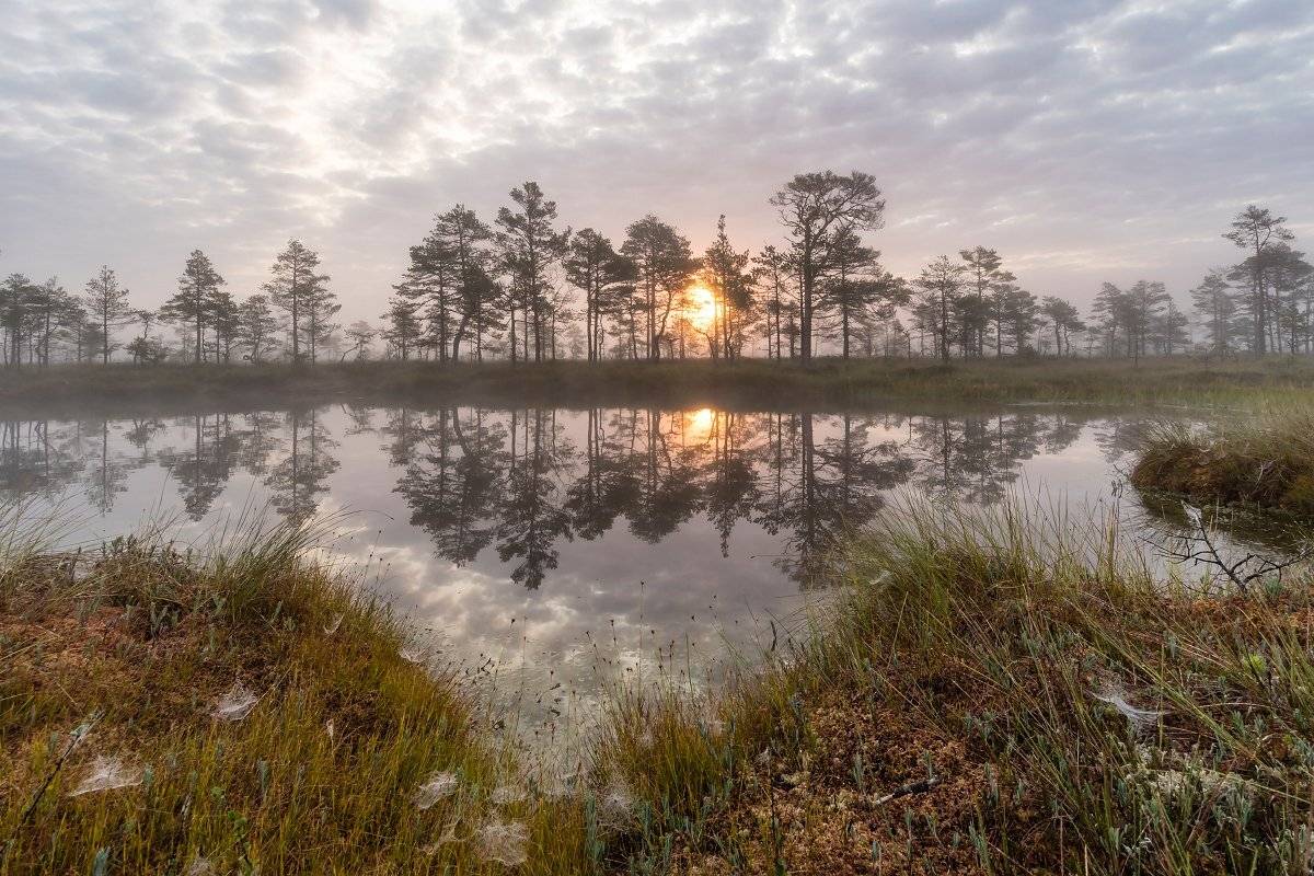 , Александр Абросимов