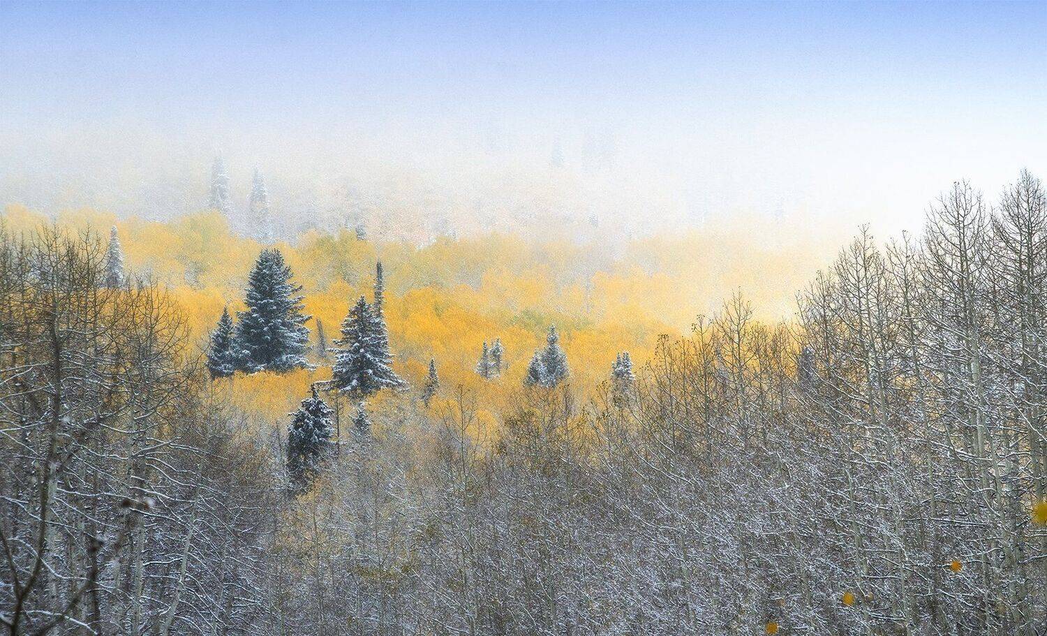, suk eun kim