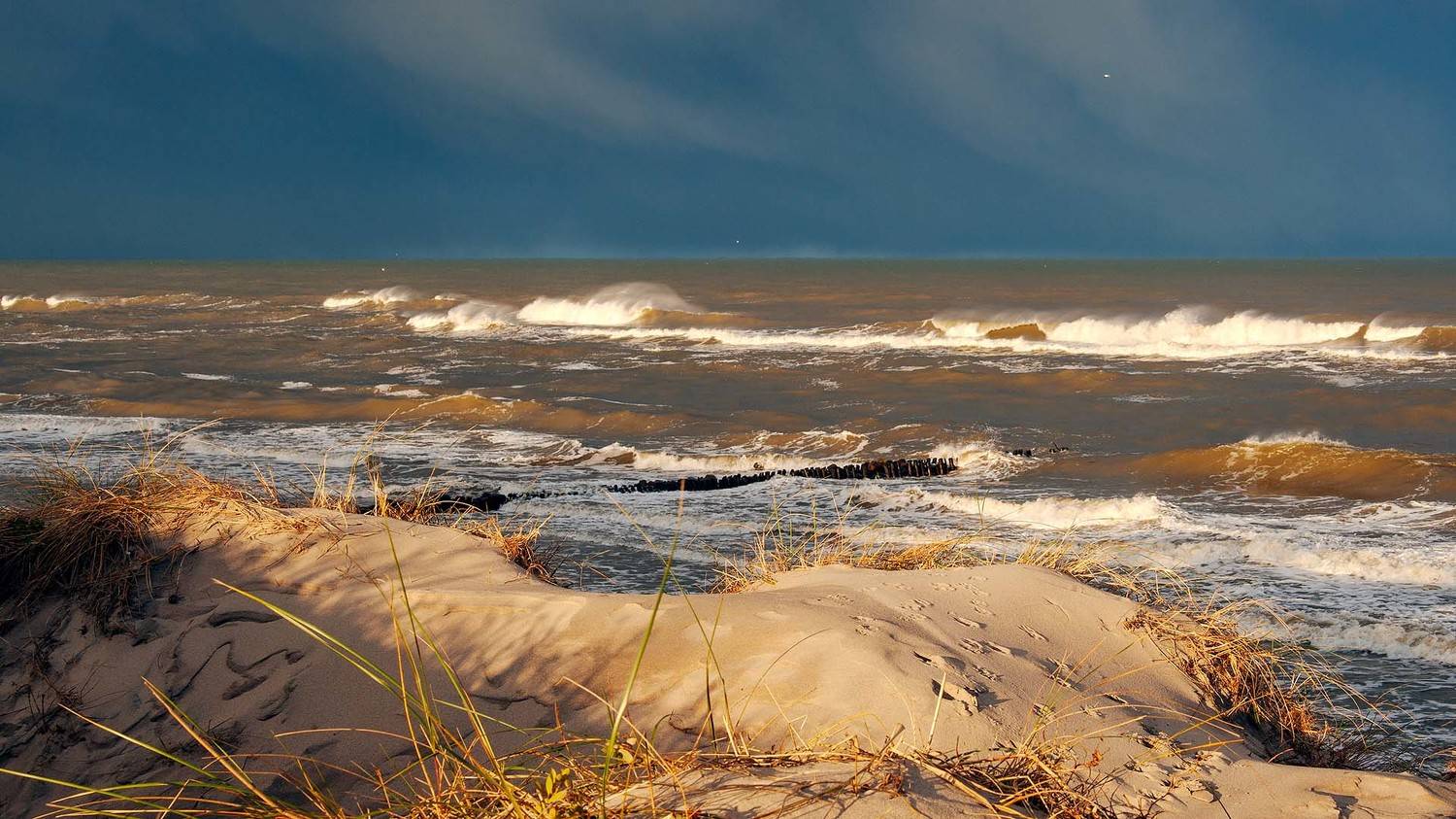 , Павел Дунюшкин