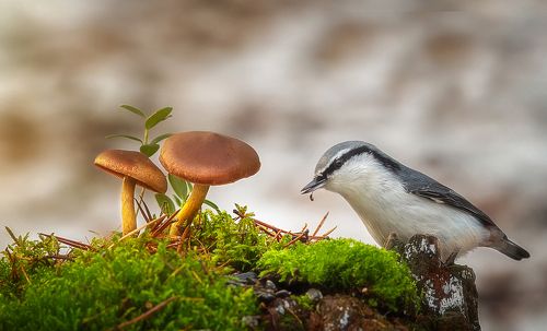 Вот и осень
