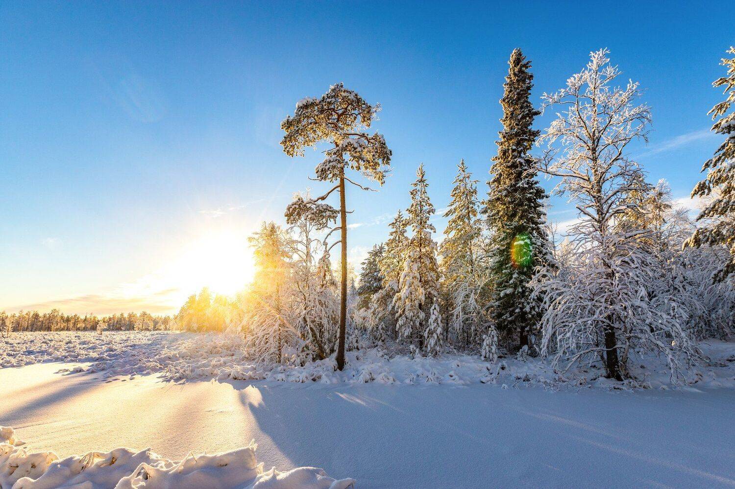 печора, Анатолий