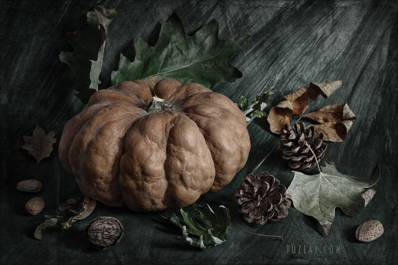 тыква, шишки, орехи, Владимир Тузлай