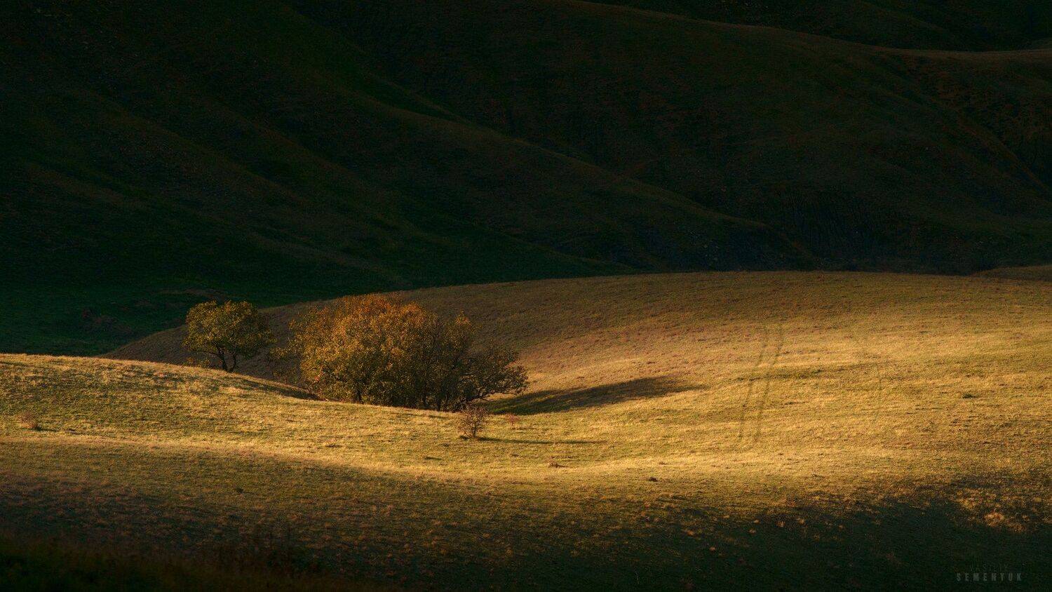 крым, осень, закат, меганом, киммерия, дерево, свет, пейзаж, landscape, crimea, autumn, dynamic light., Семенюк Василий