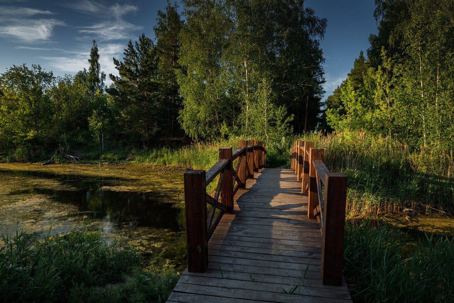 , Евгений Кужилев