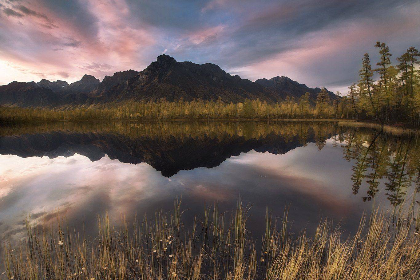 , Андрей Ершов