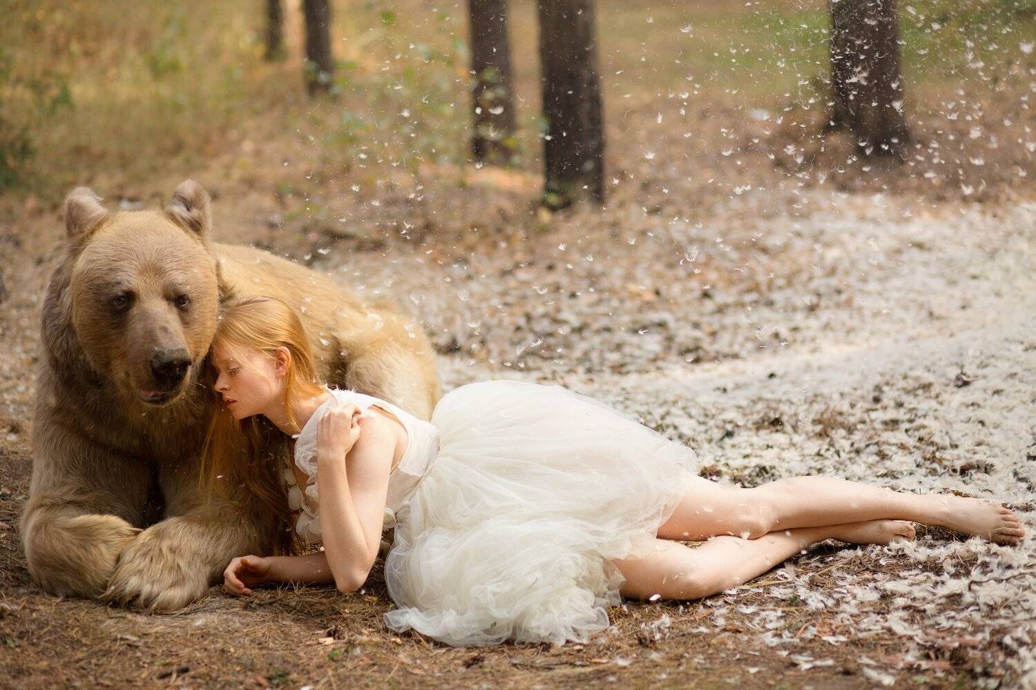 снег, Светлана Никотина