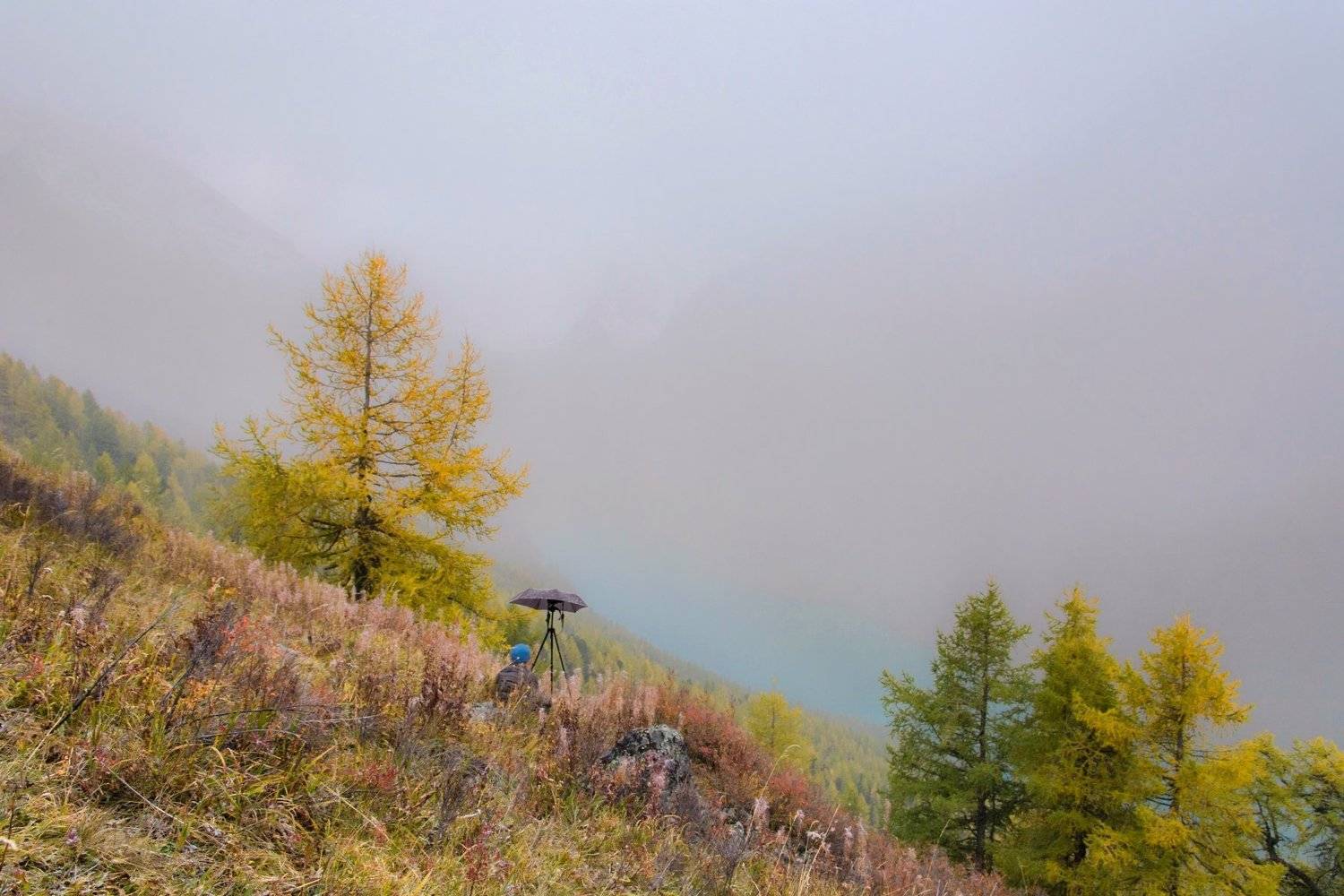 алтай,осень, Алексей Кретов