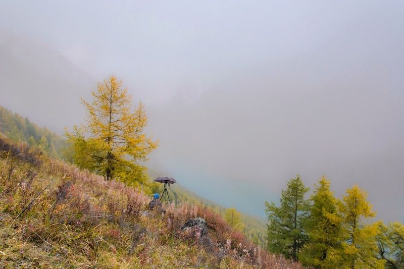 алтай,осень в ожидании появления волшебного света фото превью