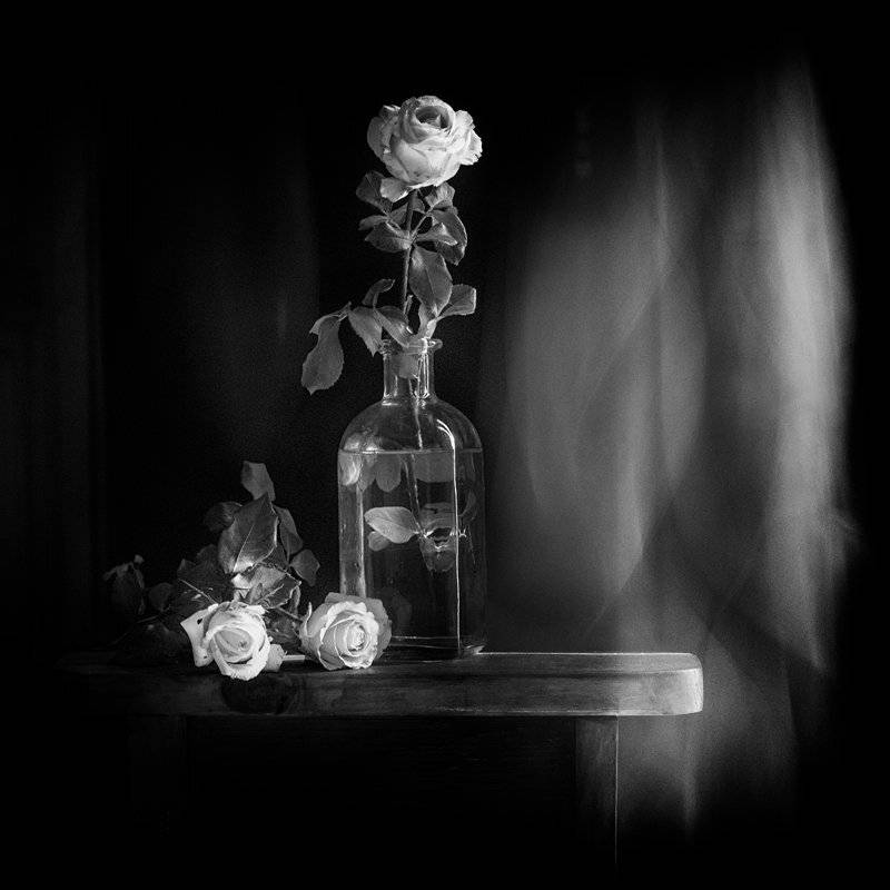 , Татьяна Аверина