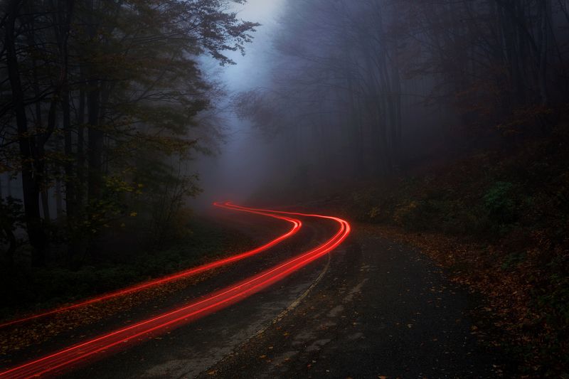 Enchanted 2 фото превью