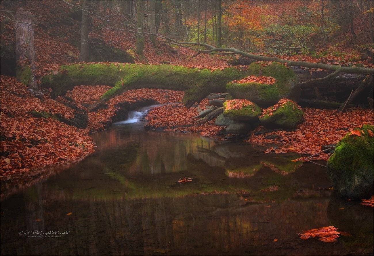 , Рудченко Анатолий